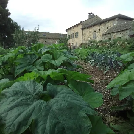 Prázdninový dům Lozere Bleue 12 Personnes *
